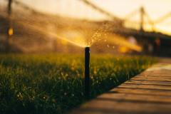 pexels-dubart-8791457